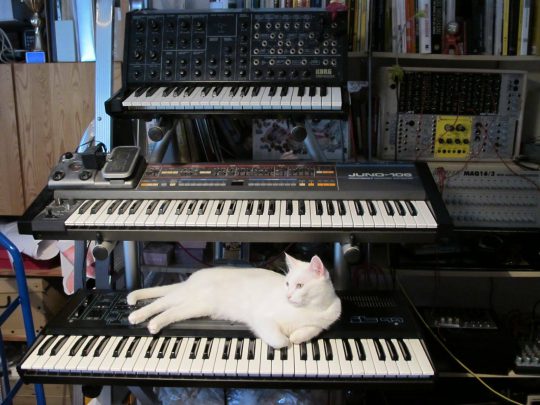 White cat with a Crumar Bit 99, Roland Juno 106, Korg MS-20, and modules from Doepfer, Metasonix, and more.