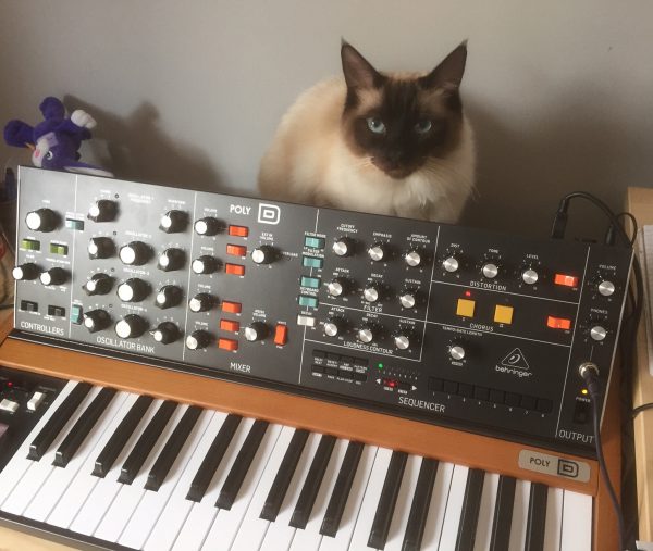 Monty (siamese cat) with Behringer Poly D synthesizer