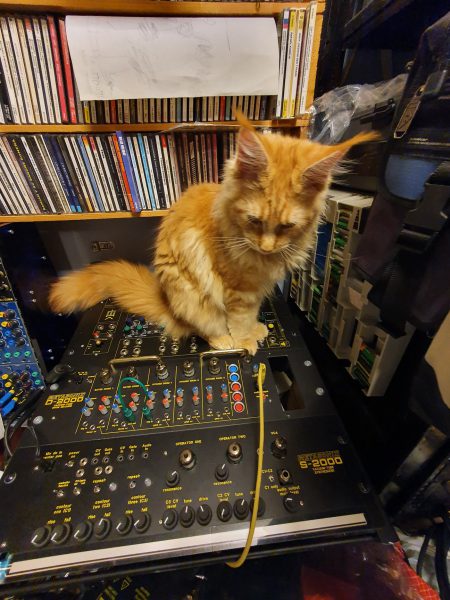 Sniff the cat with a Metsonix S-2000 and D-2000