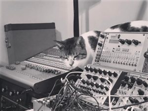 Lucy and Modular Synth