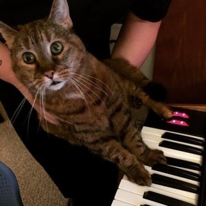 Nala and OB-6