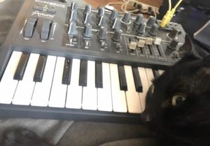 Runkl and Microbrute