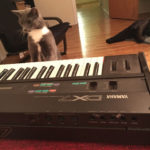 Cat and DX7
