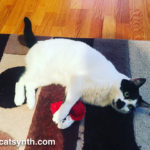 Sam Sam with sock