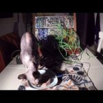 Cat Food Synthesizer