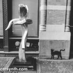 Metal Sculpture and Cat in SoHo