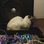 meezer and modular