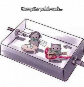 Guitar Pedal with Cats