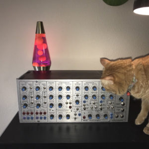 Cat, Lava Lamp, and MFOS Synth