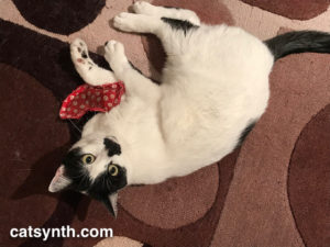 Sam Sam and sock toy