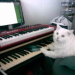 Maximus in the studio