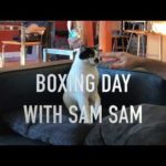 Sam Sam Boxing Day