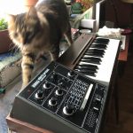 Korg M500 Micro Preset SN 770329