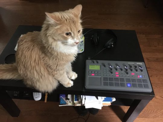 Leo on the Electribe
