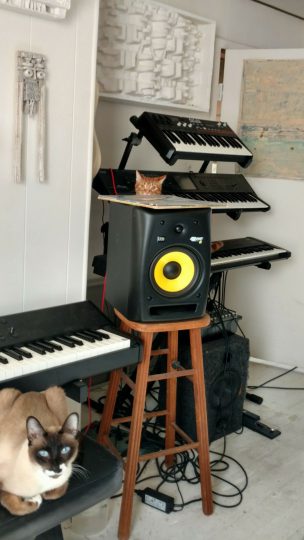 Cats in the Studio