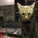 Cat and Mutable Instruments