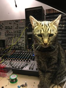 Cat and Mutable Instruments