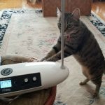 Kona and Moog Theremini
