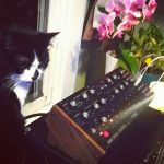 Carmen and Moog DFAM
