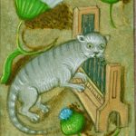 Cat playing organ