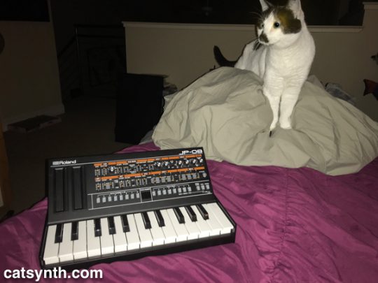 Sam Sam and the Roland JP-08