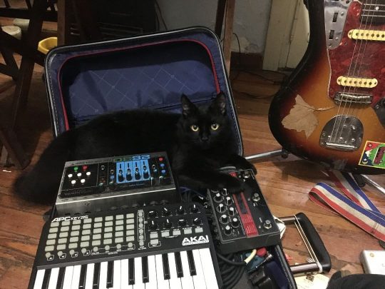 Black cat with Akai, Eventide, Electro-Harmonix