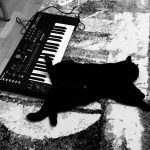 Black Cat and Elektron Analog Keys