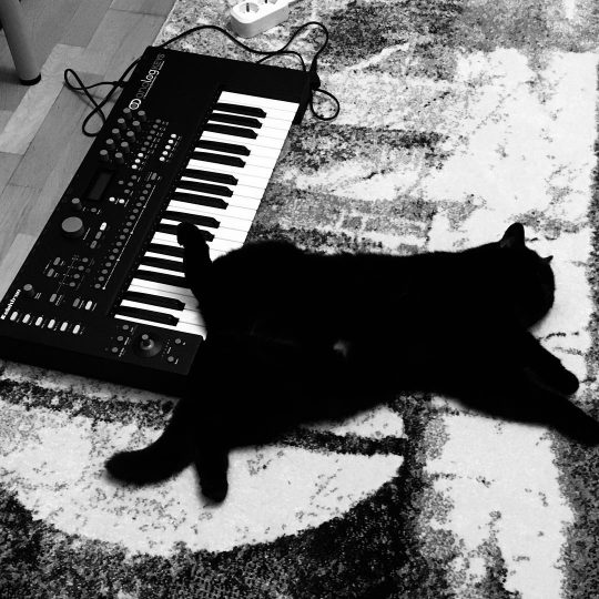 Black Cat and Elektron Analog Keys