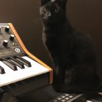 Zook, Moog Sub 37, Yamaha CP4