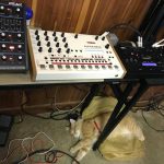 Mr. Maximillion with JoMoX Alpha Base and Novation Peak