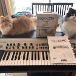 Cats, KingKorg and White Wine