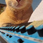 Nemo with Novation Bass Station