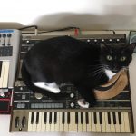 Dave sitting on microKORG