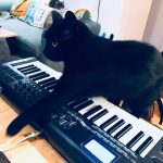 Shadow on M-Audio Axiom Keyboard