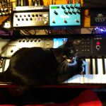 Stash and synthesizers