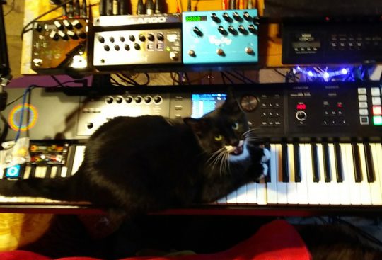 Stash and synthesizers