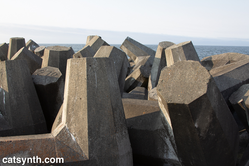Wordless Wednesday: Dolosse at Humboldt bay