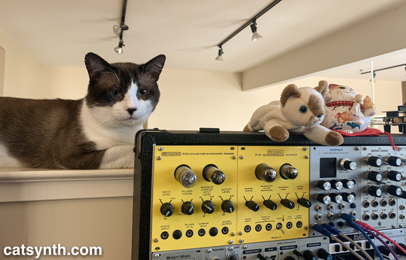 CatSynth Pic: Big Merp and Modular