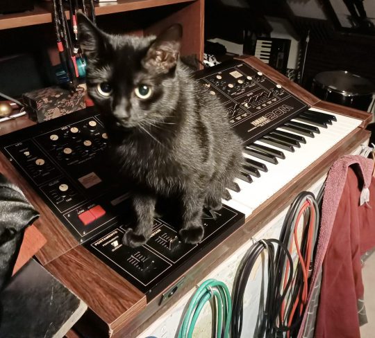 Betty on top of Yamaha CS20m