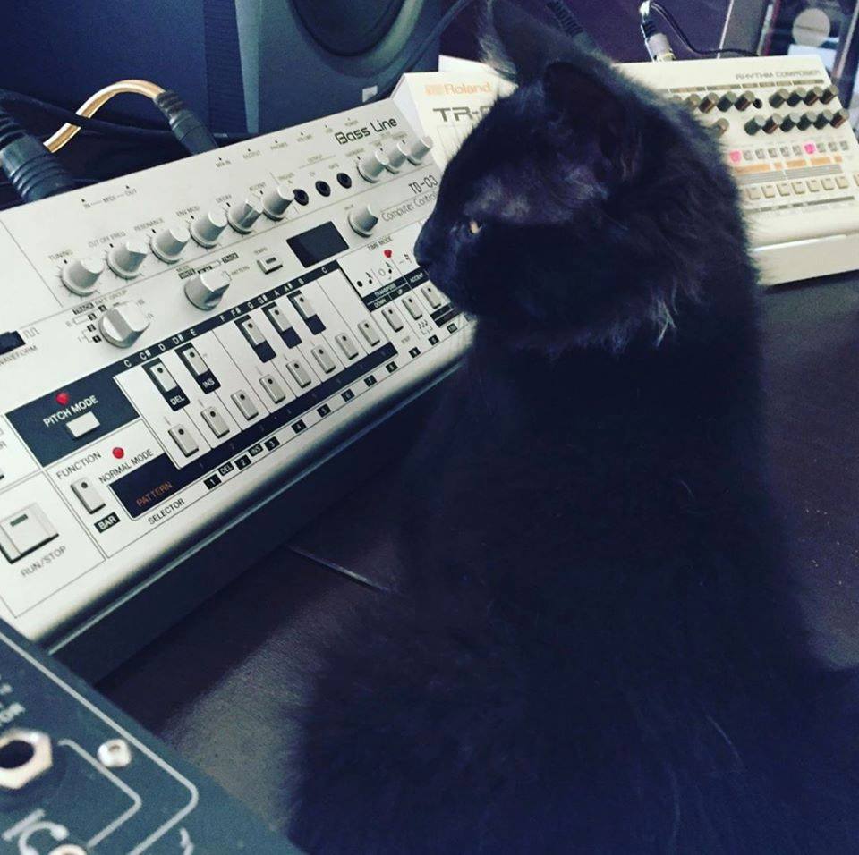 CatSynth Pic: Roland TB-03 and TR-09