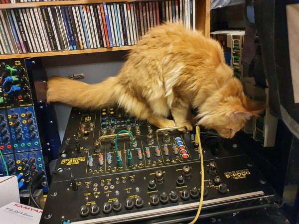 Sniff with Metasonix modules and synthesizers.