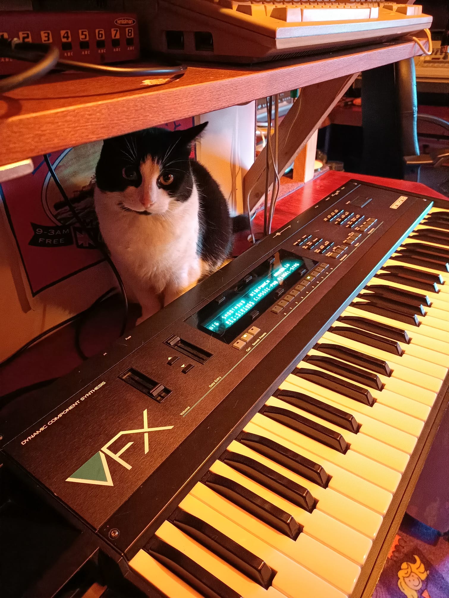 Pinkie the cat and Ensoniq VFX