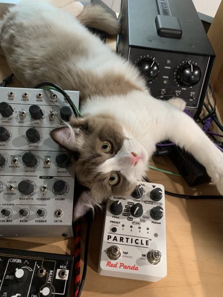 Valentino the cat with a BoomStar (upper left), Red Panda Particle pedal (center) and Make Noise 0-coast (lower right)