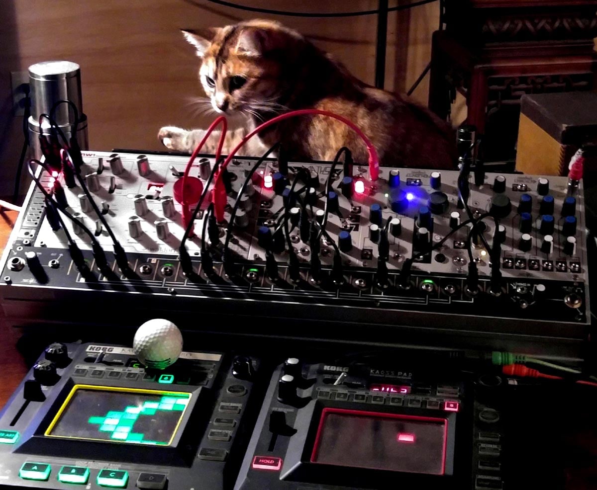 Cat with Make Noise eurorack modules, and Korg Kaossilator and Kaoss Pads.