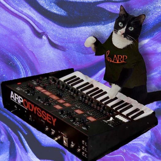 Cat with an orange and black ARP t-shirt and an orange-and-black ARP Odyssey