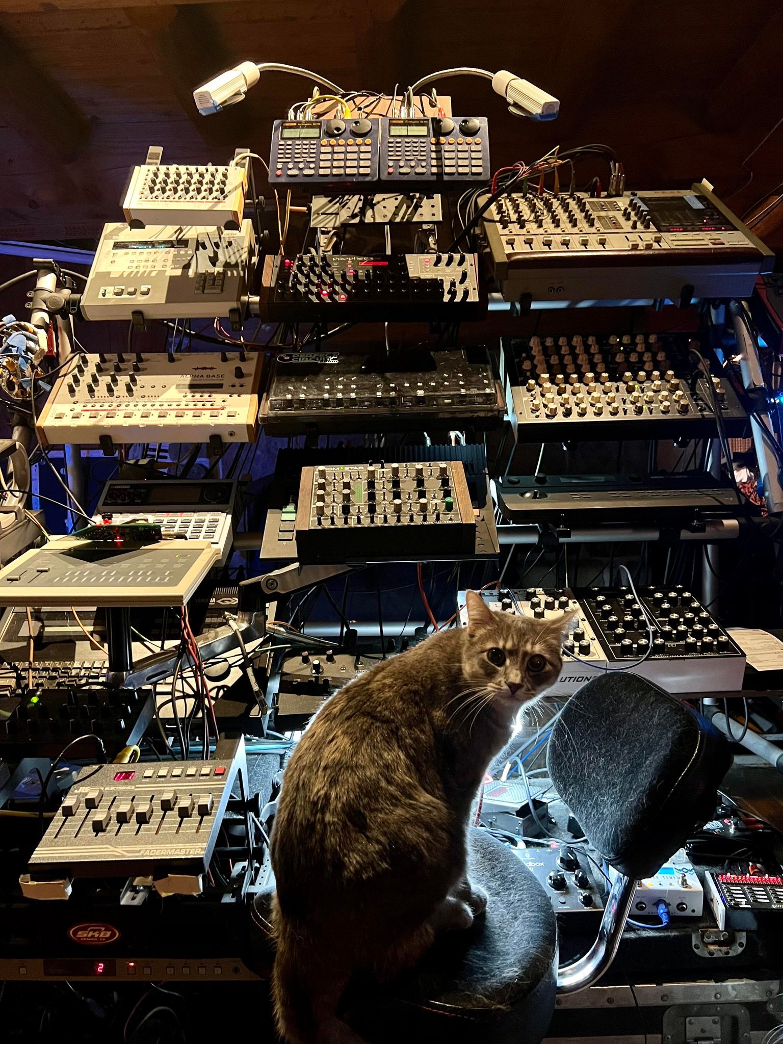 Olive the cat  in chair in front of an impressive array of tabletop modules.  Next to her is a rugged JL Cooper fader fox; a Studio Electronics BoomStar, and a Yamaha 1980s item below it; a JoMox Alpha Base, a Sequential Prophet '08, sundry rhythm machines from Boss