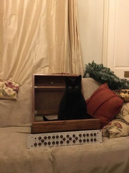 Jet the black cat inside a synthesizer case.  A 9090 Analog Drom Synthesizer sits in front.