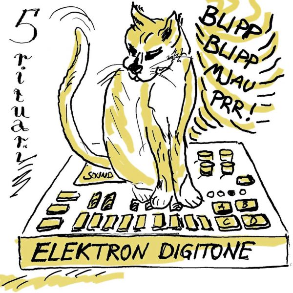 Illustration of a cat playing an Elektron Digiton