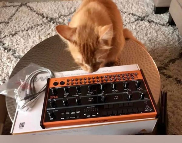 Orange cat looking at a Behringer Crave synthesizer that sits on top of its box.