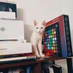 White Cat and Novation Launchpad